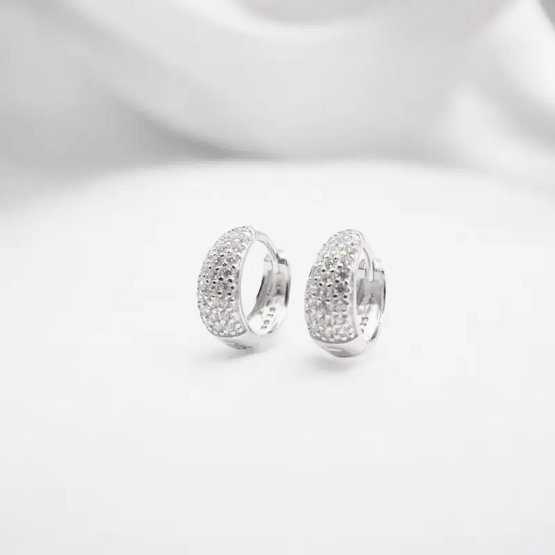Orecchini in Argento Zirconi