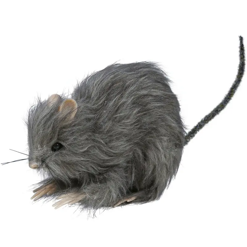 Ratto peloso